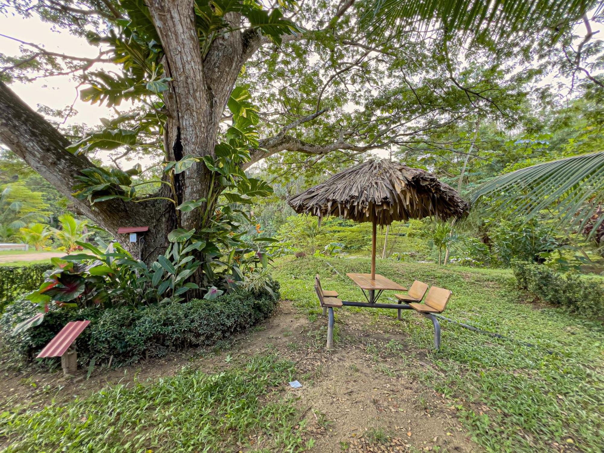 Tayrona Cachaco River Ecohostal El Zaino Exterior photo